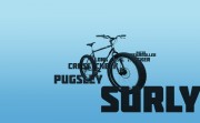 msce-surly